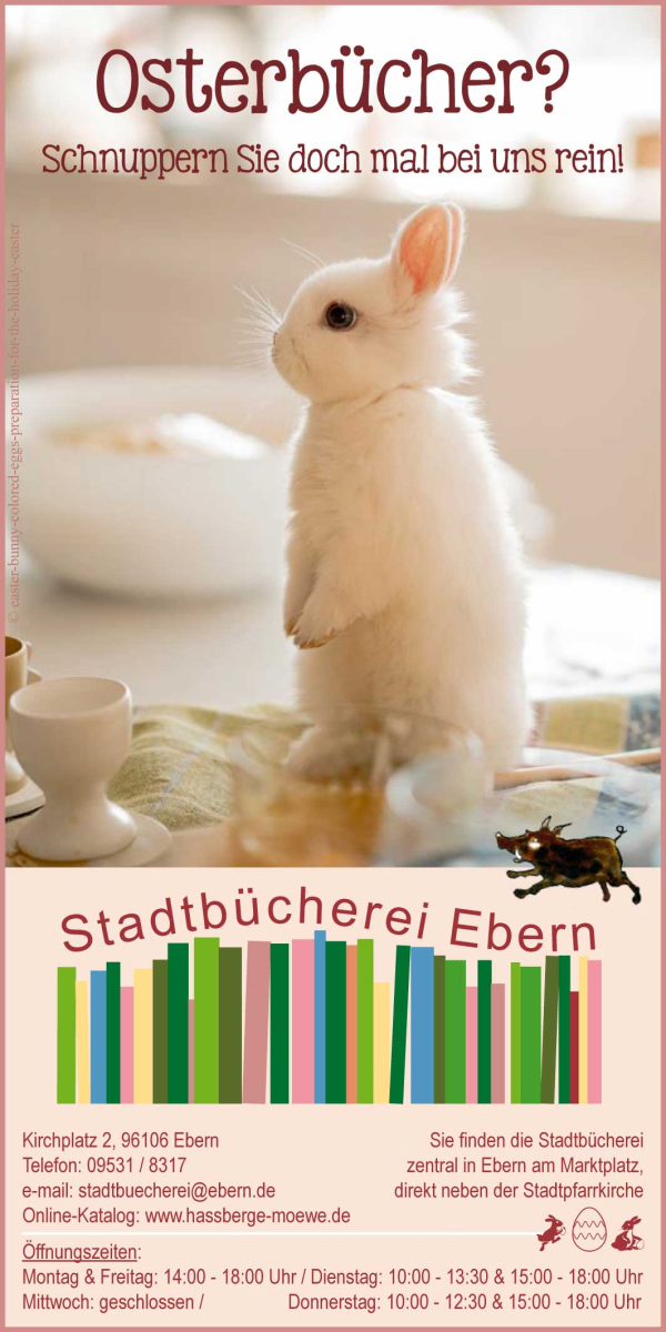 Stadtb&uuml;cherei Ebern