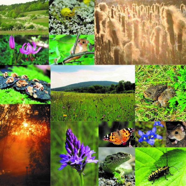 In der Kaserne wird gefeiert