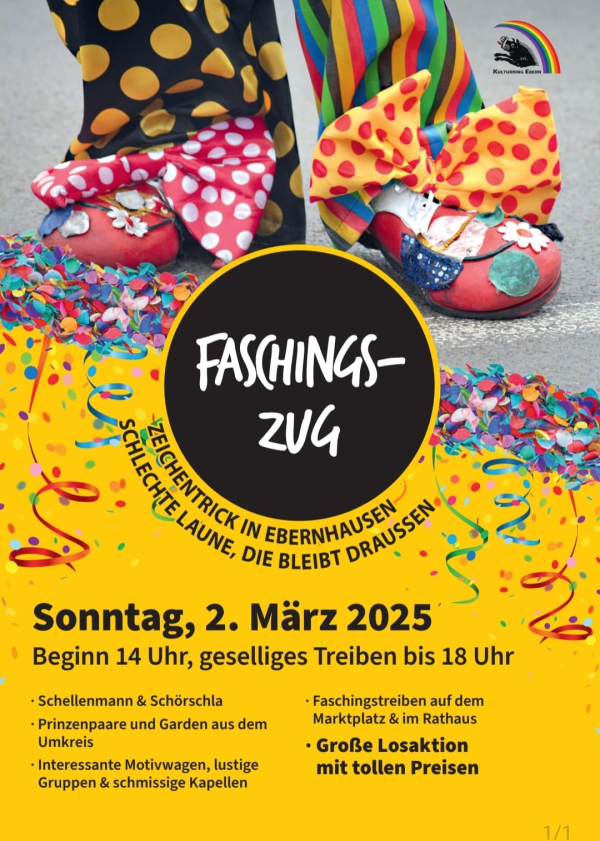 Faschingszug in Ebern