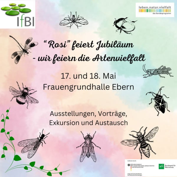 Rosi - eine Wanze feiert Jubil&auml;um